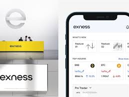 Comprehensive Guide to Exness Login Comprehensive Guide to Exness Login