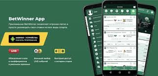 Understanding BetWinner Terms Your Guide to a Seamless Betting Experience Understanding BetWinner Terms Your Guide to a Seamless Betting Experience