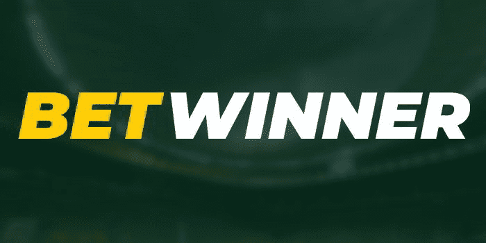 Understanding BetWinner Terms Your Guide to a Seamless Betting Experience Understanding BetWinner Terms Your Guide to a Seamless Betting Experience